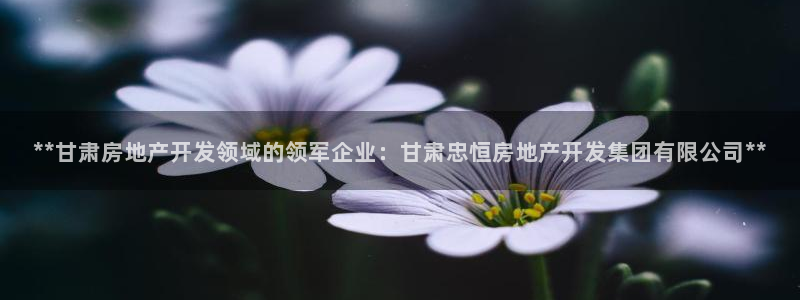 万向娱乐app下载