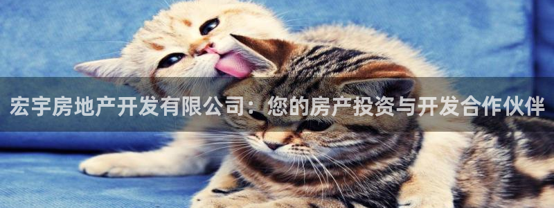 万向娱乐平台代理怎么样