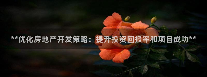 万能娱乐平台直招代理