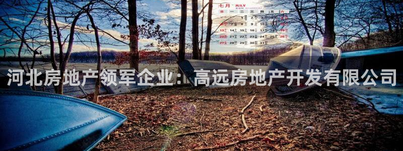 万向娱乐平台代理