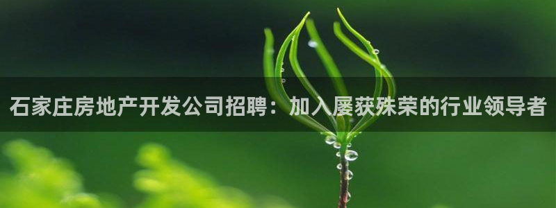万向娱乐代理好看视频是真的吗