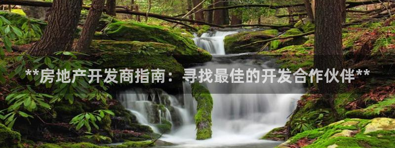 万向娱乐app
