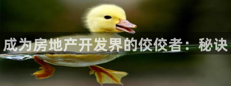 万向娱乐王者荣耀