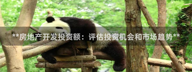万向娱乐招商