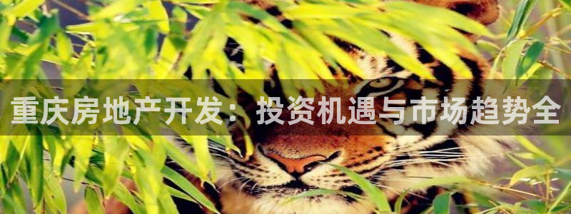 万向娱乐登陆官网
