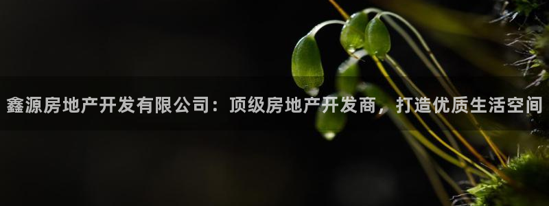 万向娱乐老板