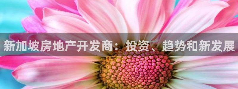万向娱乐的494o3 主管