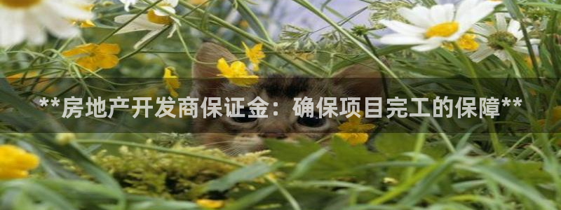 万向娱乐技术分享
