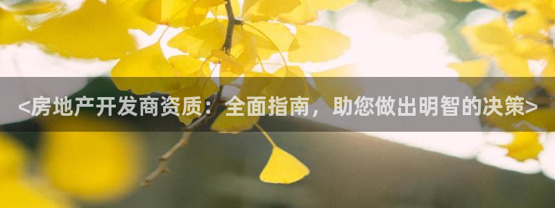 万向娱乐公司 585.34I 娱乐