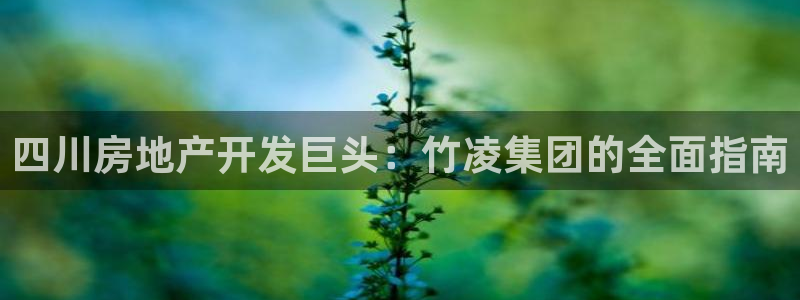 万向娱乐平台代理怎么做赚钱