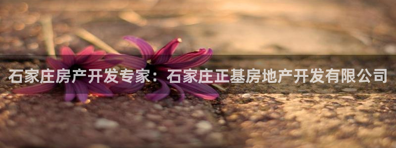 万向娱乐的联系方式