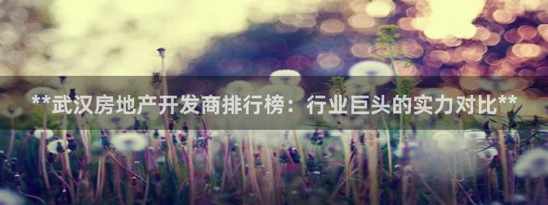 万向娱乐公司 585.34I 娱乐