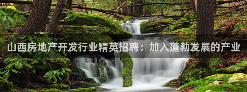 万向娱乐官网网址