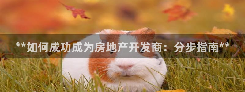 万向娱乐官网