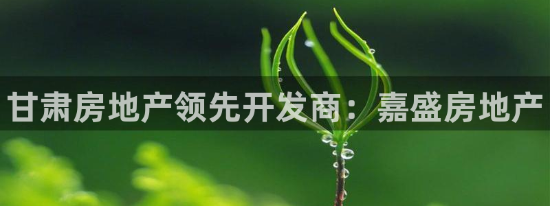 万向娱乐灯333OO