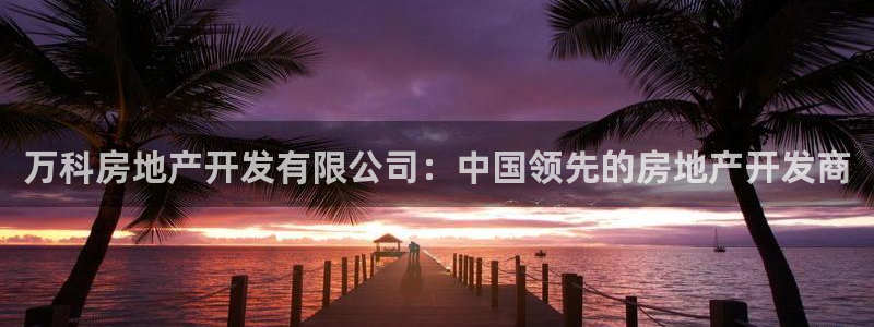 万象游戏代理