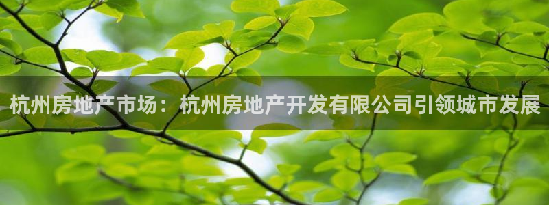 万向娱乐平台代理怎么做的