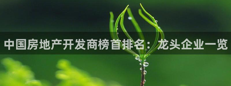 万向娱乐官网