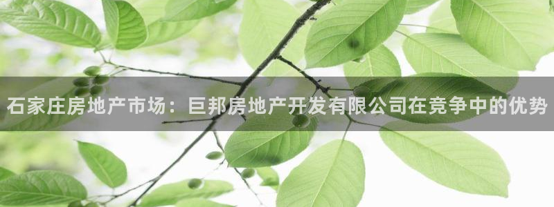 万向娱乐王者荣耀