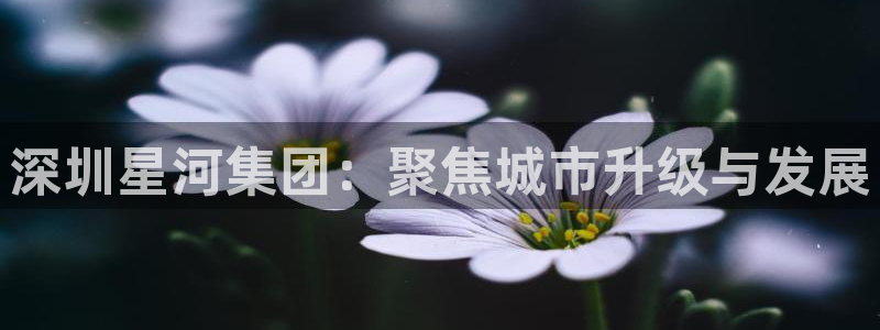 万向娱乐代理好看视频
