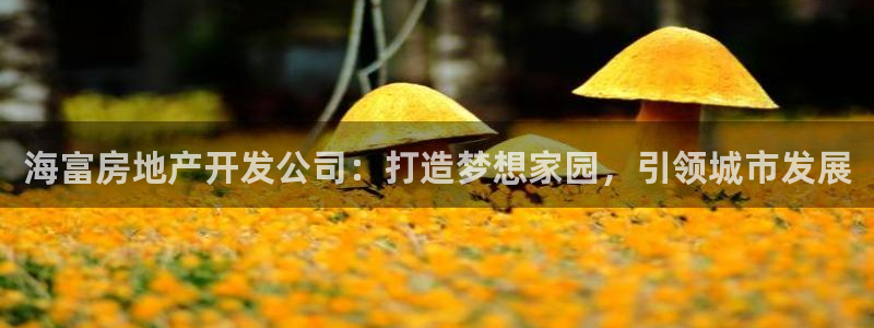 万向娱乐平台代理多少钱一个
