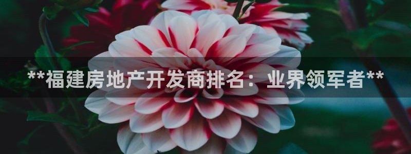 万向娱乐app下载官网