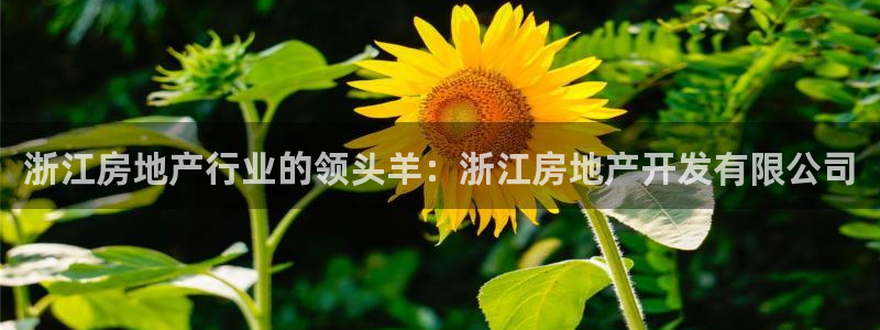 万向娱乐的联系方式是什么
