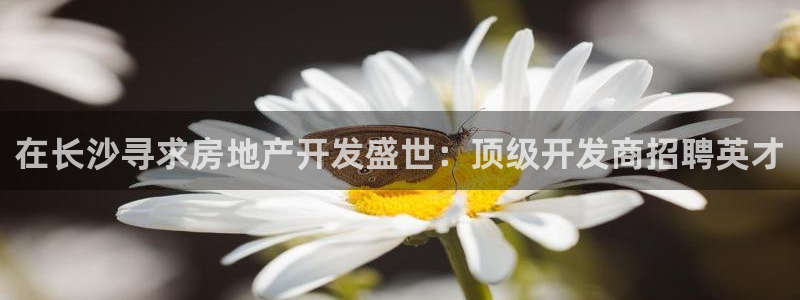 万向娱乐平台代理怎么做赚钱