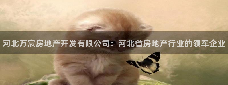 万向娱乐app下载