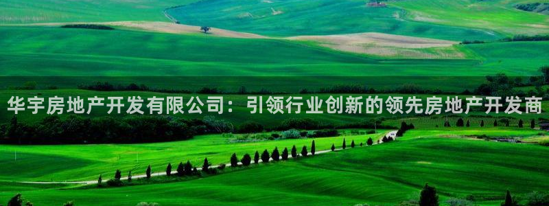 万向娱乐平台代理多少钱