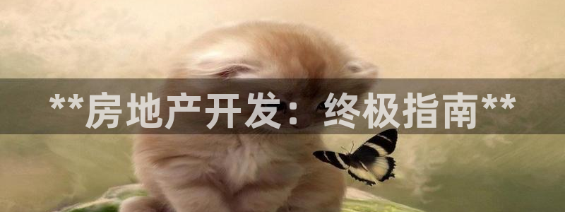 万象国际娱乐网址