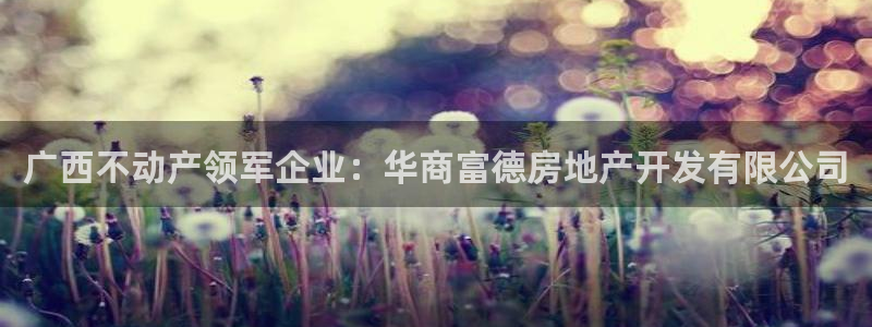 万向娱乐平台代理多少钱一个