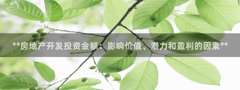 万能娱乐平台直招代理