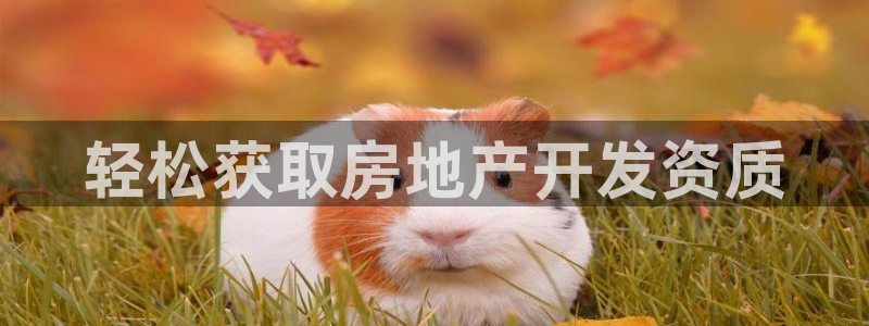 万向娱乐下载
