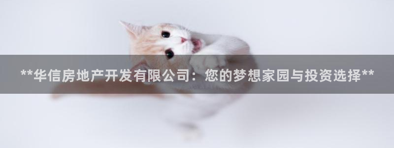万向娱乐王者荣耀