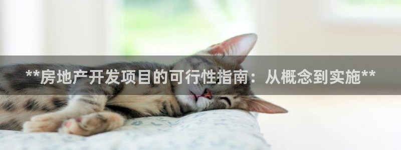 万向娱乐平台代理多少钱一个月