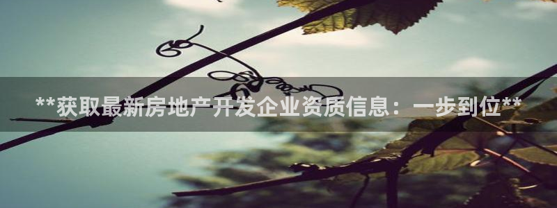 万向娱乐官网下载安装手机版