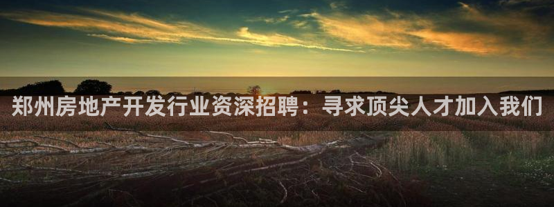 万向娱乐是野鸡台吗