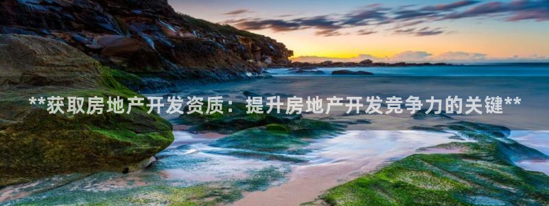 万向娱乐是野鸡台吗