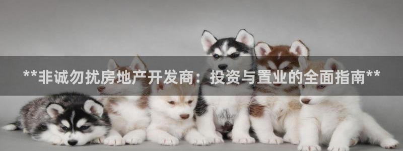 万向娱乐代理好看视频