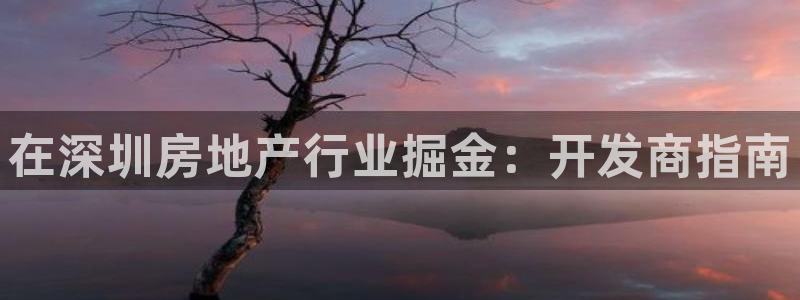 万向娱乐技术