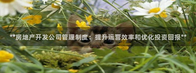 万向娱乐老板