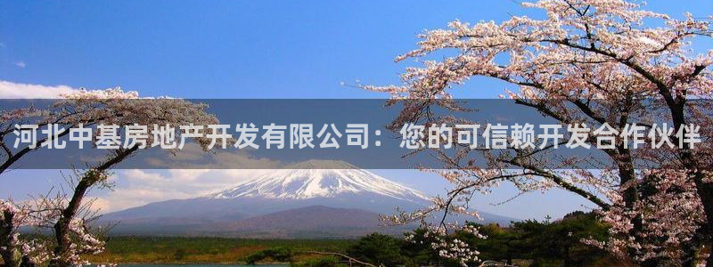 万向娱乐官网网址是多少