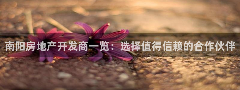 万向娱乐技术