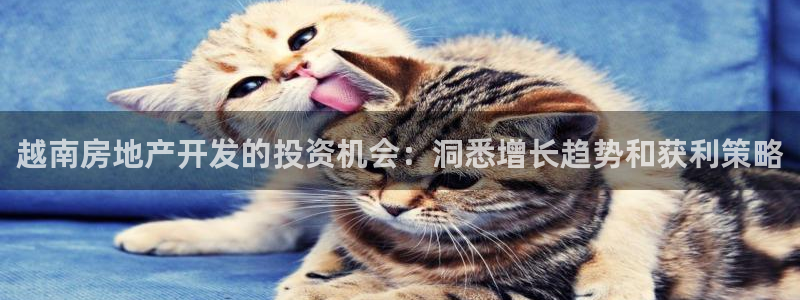 万向娱乐下载安装