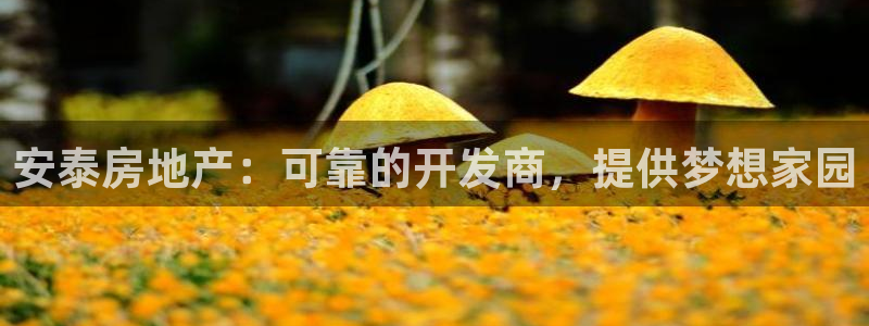 万向娱乐挂机