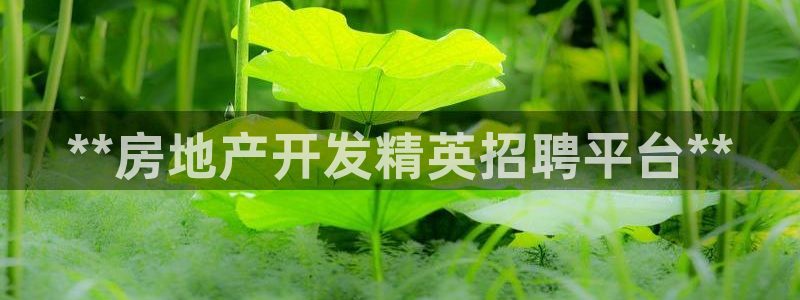 万向娱乐官网下载安装苹果