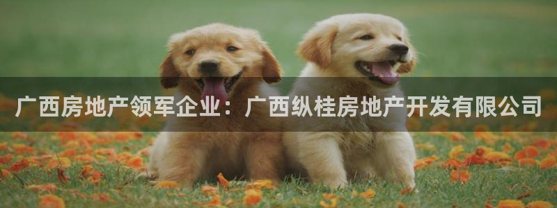 万向娱乐是哪个旗下