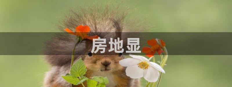 万向娱乐平台代理怎么做的