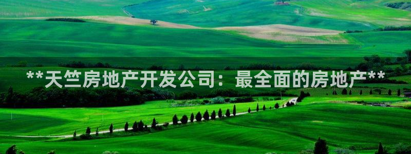 万向娱乐的494o3 主管